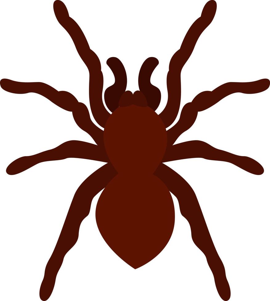 tarántula, ilustración, vector sobre fondo blanco.