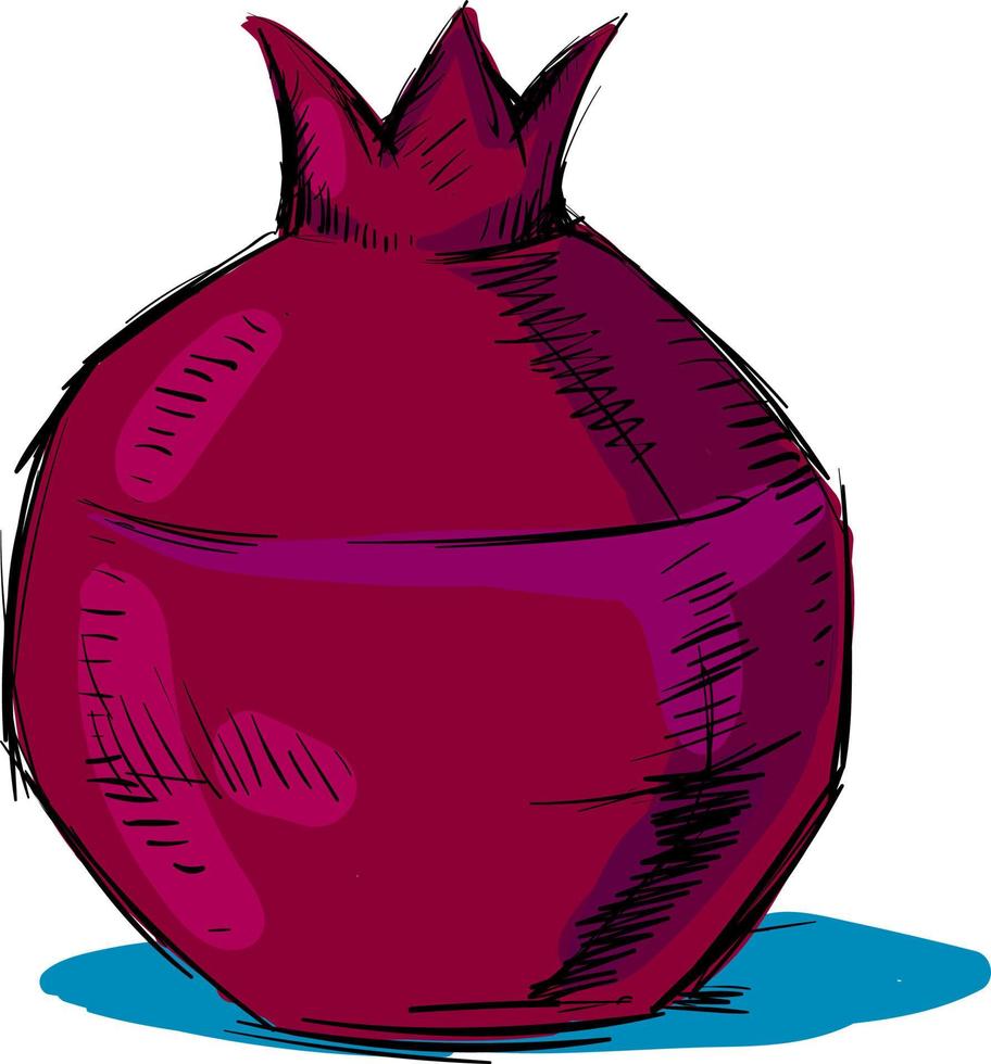 Pomegranate sketch, illustration, vector on white background.