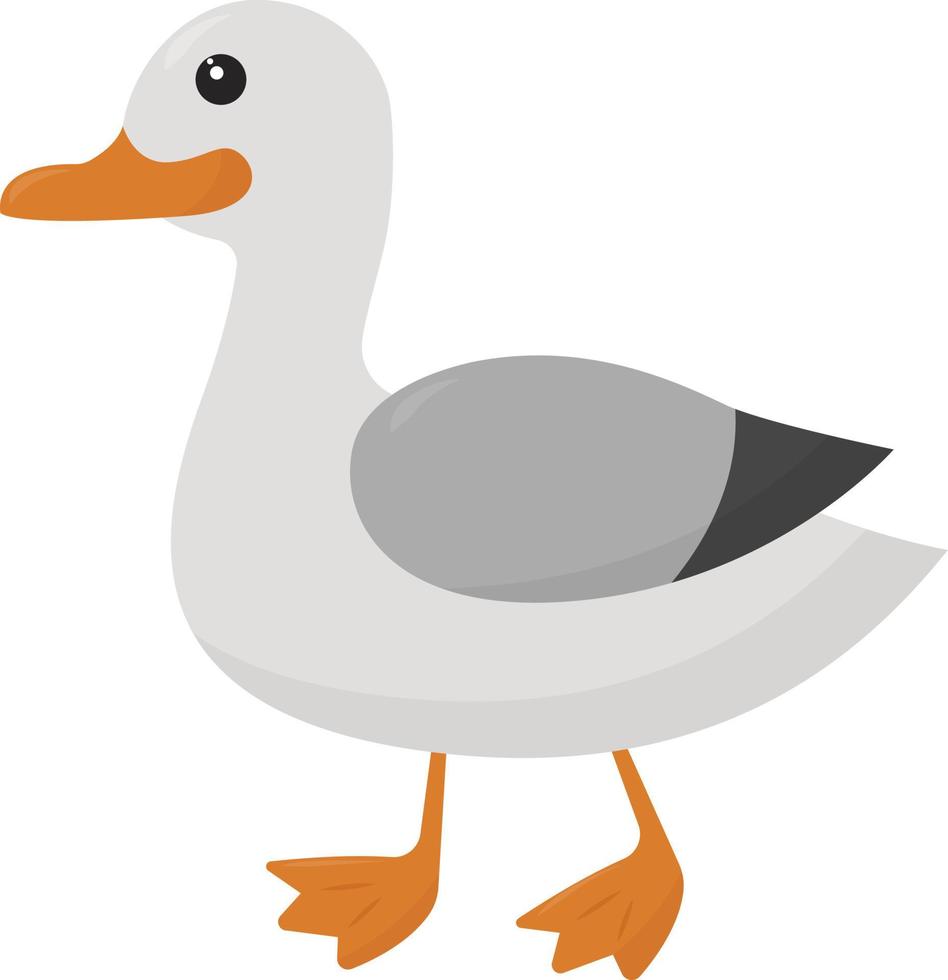 Seagull bird , illustration, vector on white background