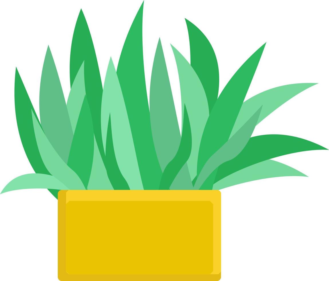 Herb in pot, illustration, vector on white background.