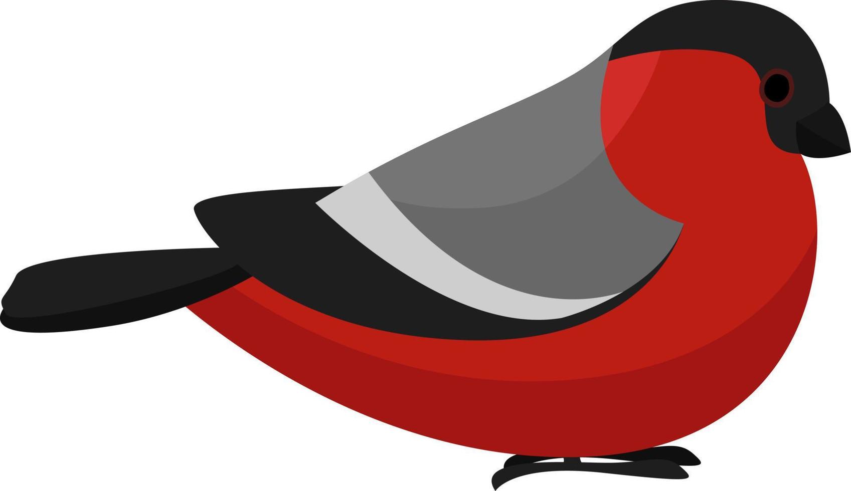 Pequeño pájaro rojo, ilustración, vector sobre fondo blanco.