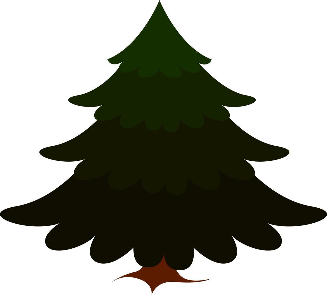 Spruce, illustration, vector on white background.
