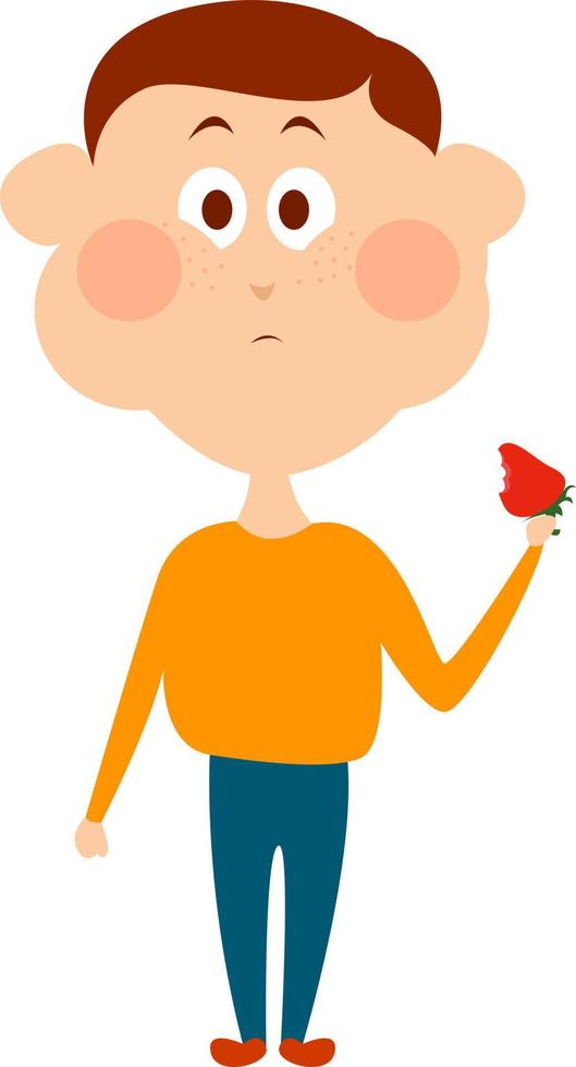 Boy with strawberry, illustration, vector on white background.