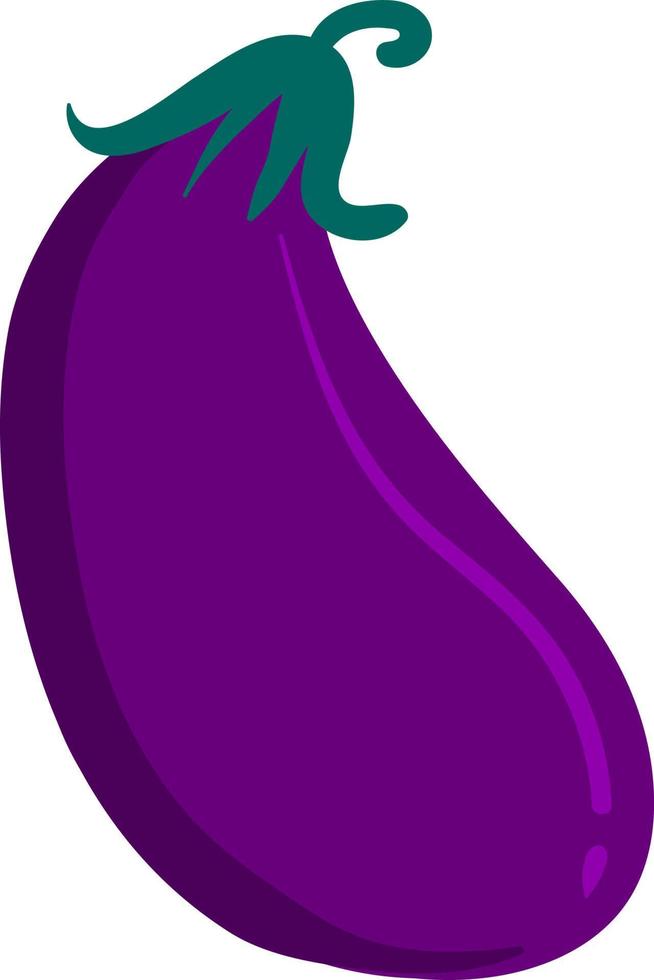 Flat eggplant, illustration, vector on white background.