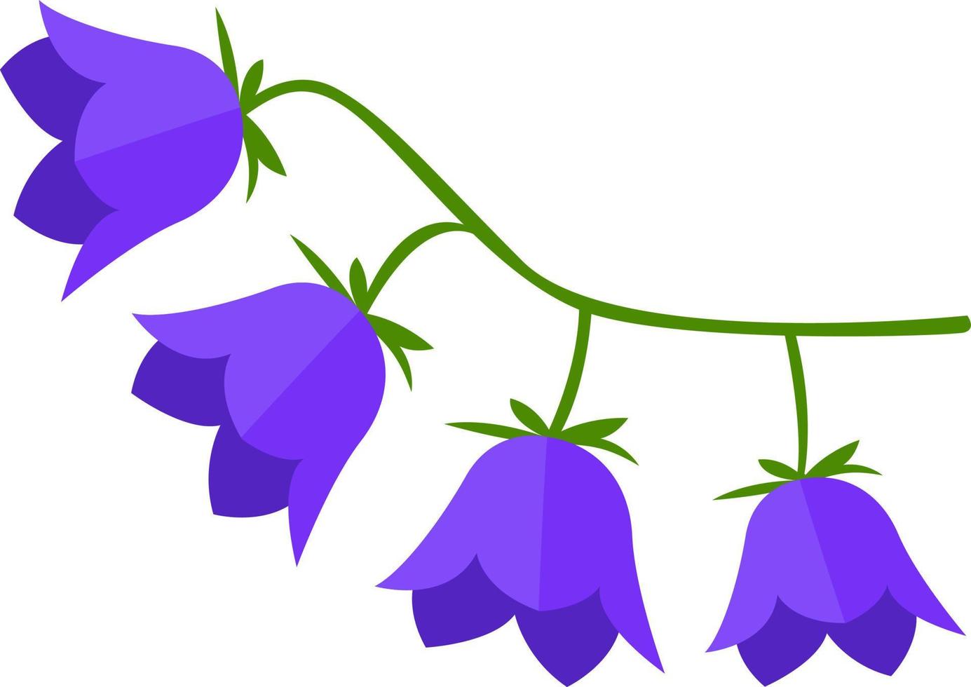 Bell flower, illustration, vector on white background