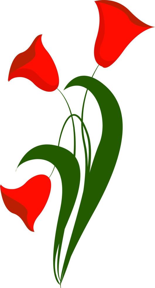 Red flowers, illustration, vector on white background.