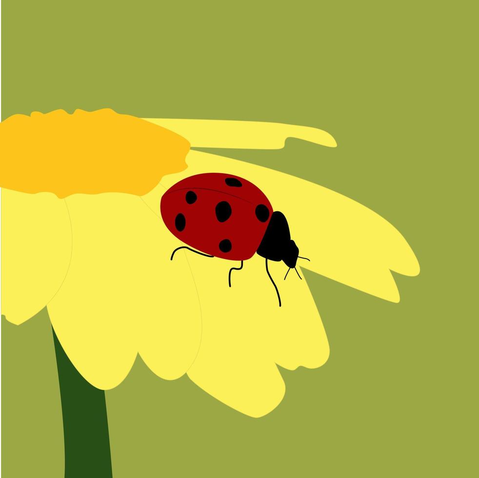 Ladybug on flower, illustration, vector on white background.