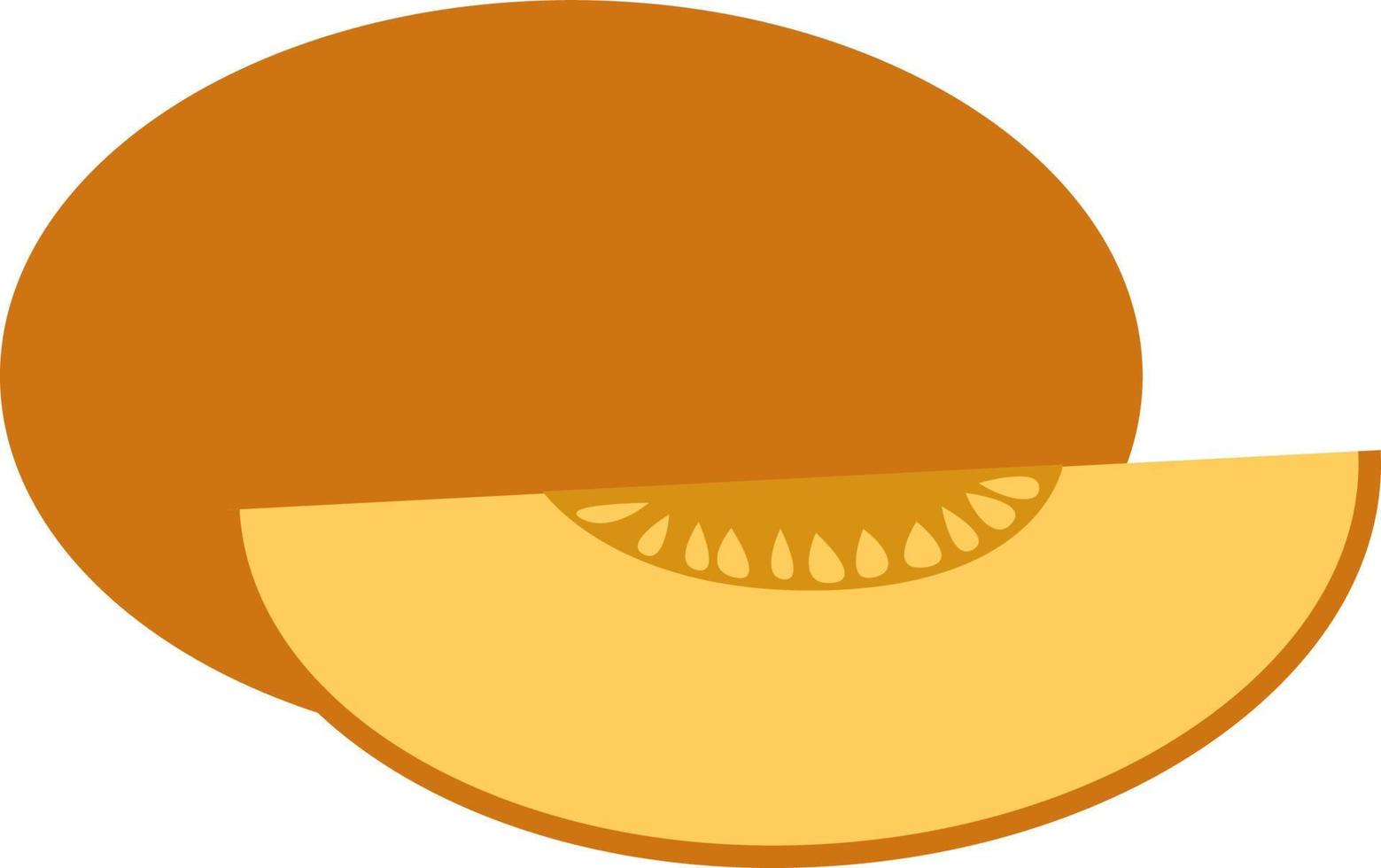 Piece of melon, illustration, vector on white background.