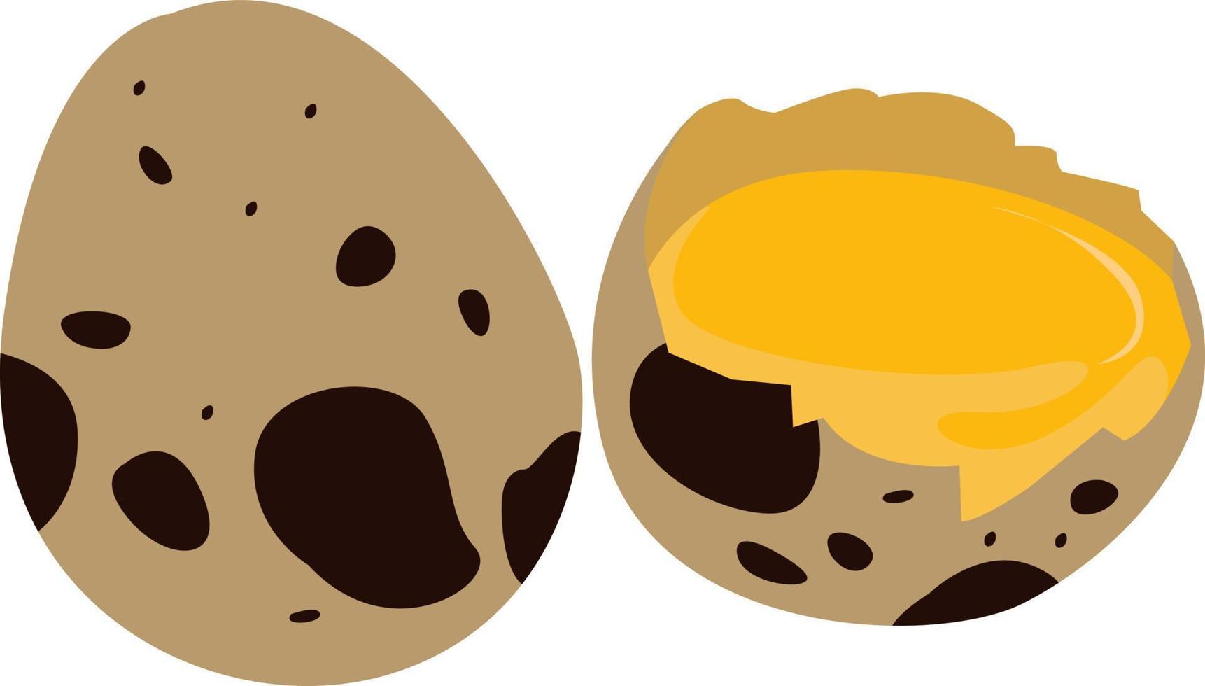 Broken egg, illustration, vector on white background.