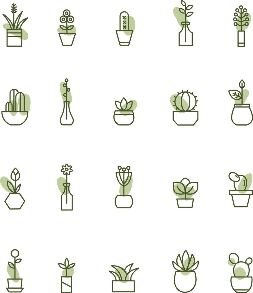 House plants, illustration, vector on a white background.