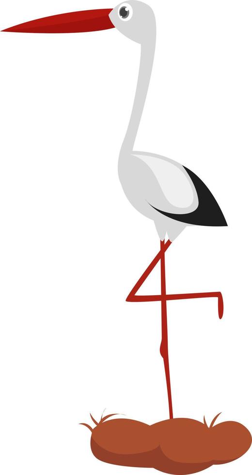 Stork standing on one leg , illustration, vector on white background