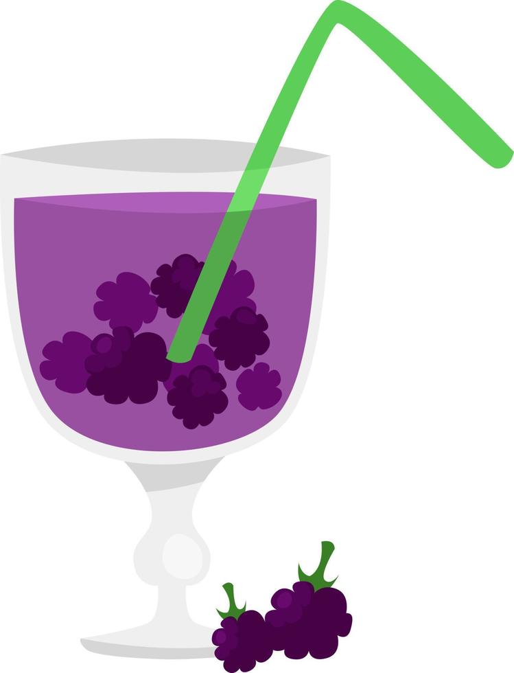 Blackberry juice, illustration, vector on white background