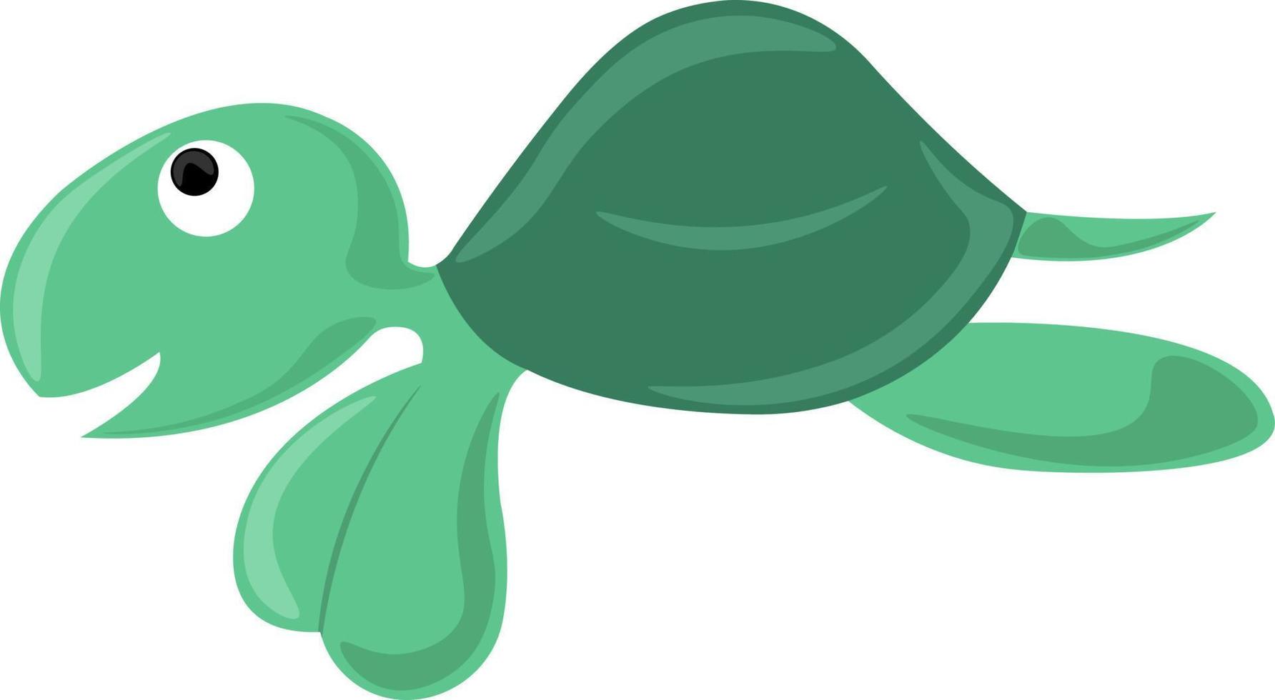 Green tortoise, illustration, vector on white background.