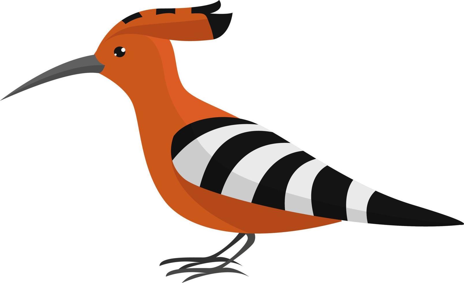 Hoopoe bird, illustration, vector on white background