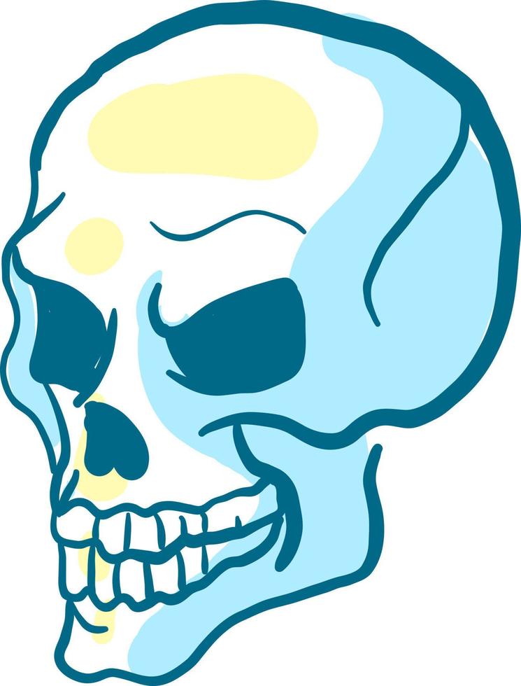 Drawing of a skull, illustration, vector on white background.