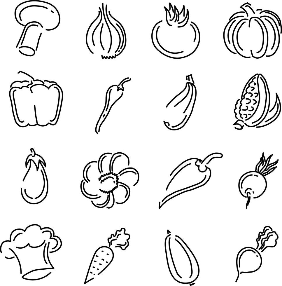 Organic vegetables, illustration, vector on a white background
