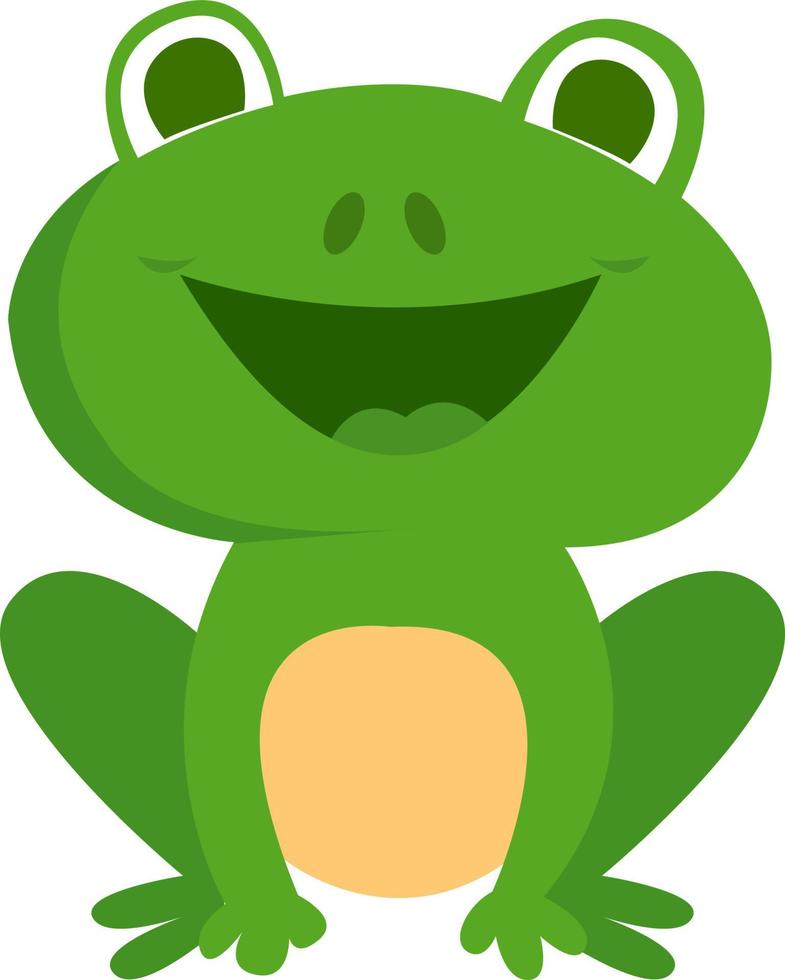 Green frog, illustration, vector on white background.