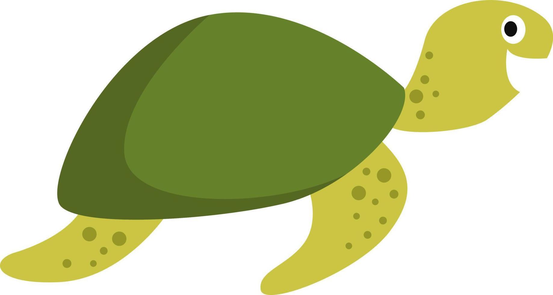 Big turtle, illustration, vector on white background.