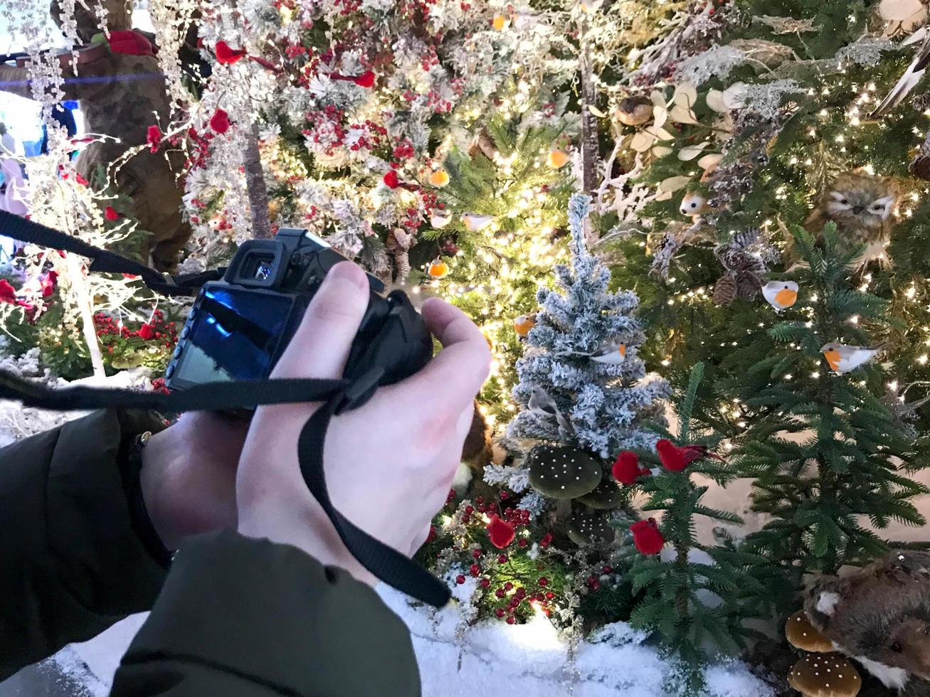 adornos navideños en el árbol. decoración antes del año nuevo. vidrio, juguetes voluminosos cuelgan del árbol. Decoración navideña. fotógrafo toma fotos de joyas en cámara