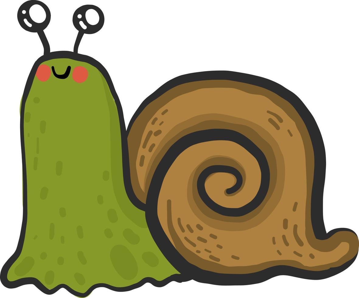 lindo caracol, ilustración, vector sobre fondo blanco