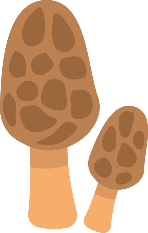 Brown morel mushroom, icon illustration, vector on white background