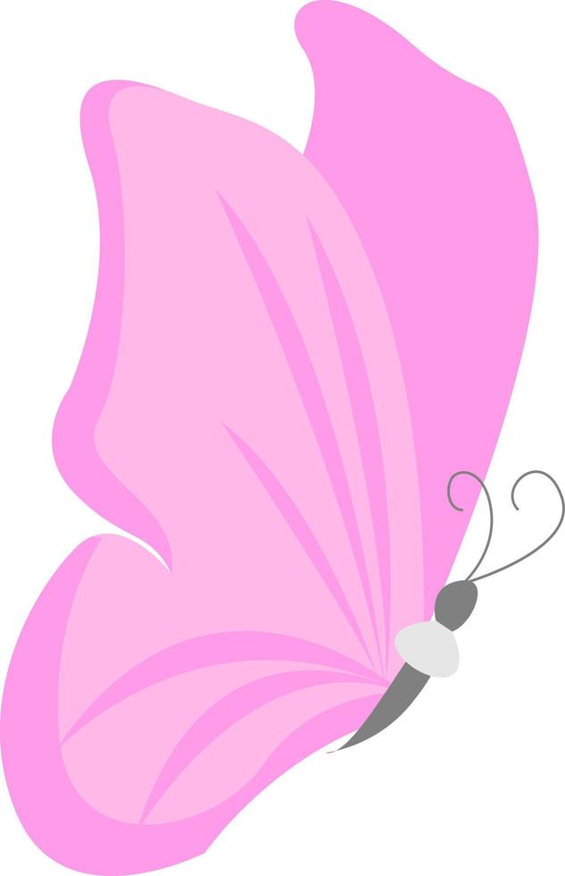 Pink butterfly, illustration, vector on white background.