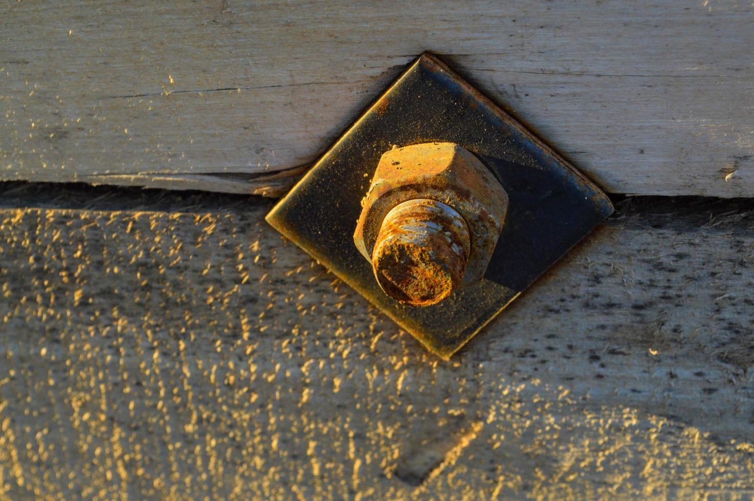 a small nail is screwed into a wooden plank stand. metal rusty nut at the construction site is used to make temporary piles. dusty and dirty rusty metal nail photo