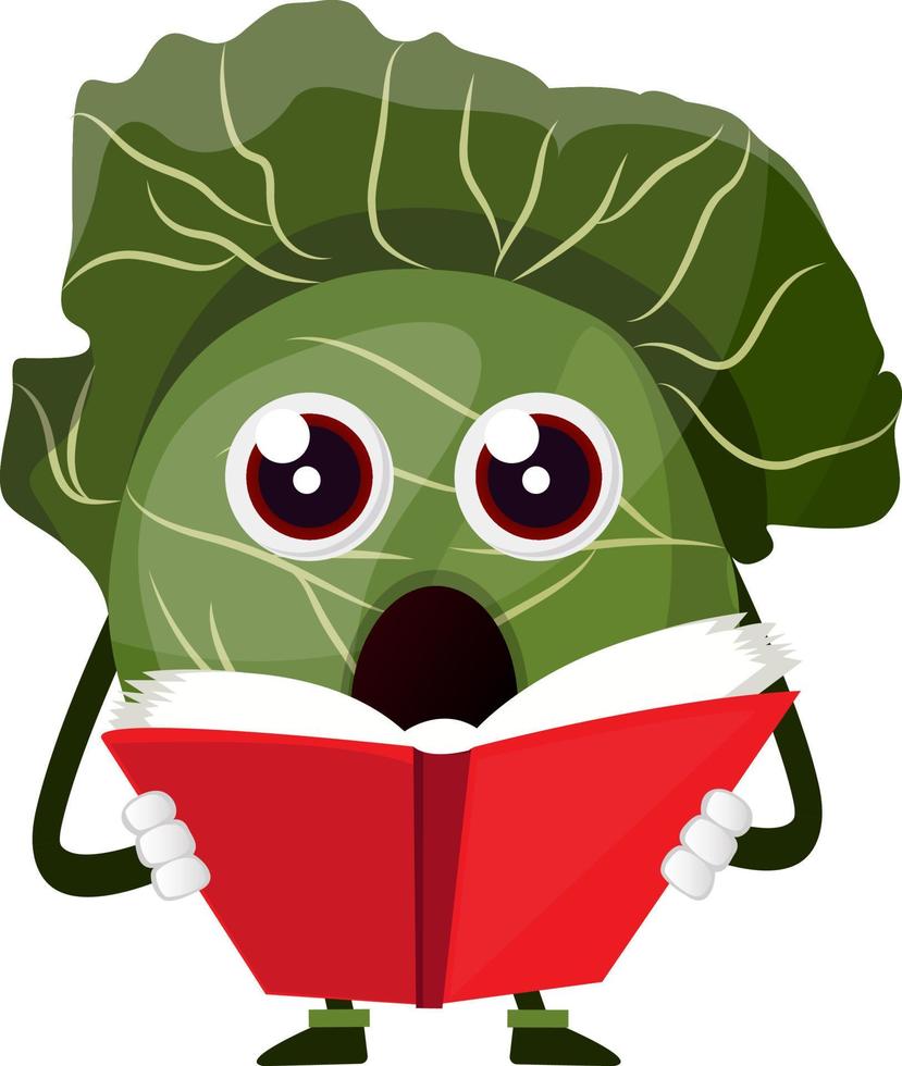 Cabbage is reading a book, illustration, vector on white background.