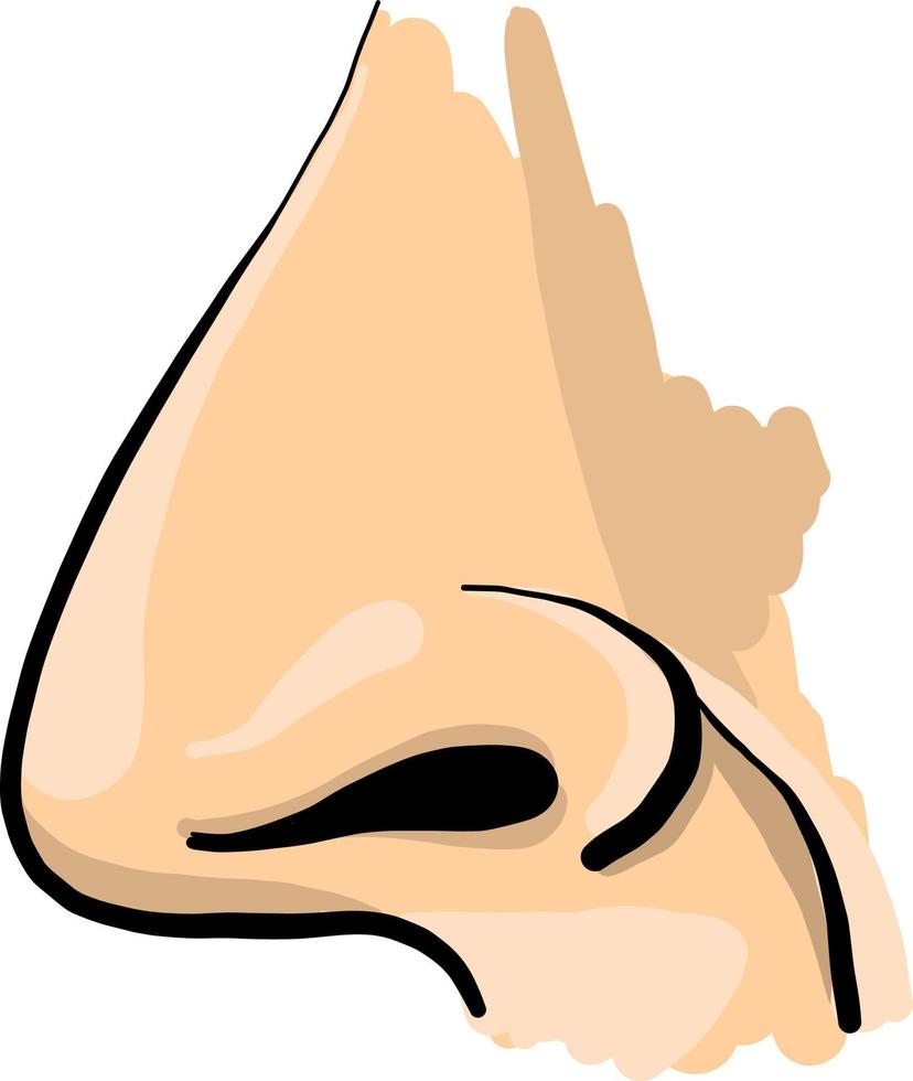 Human nose, illustration, vector on white background.
