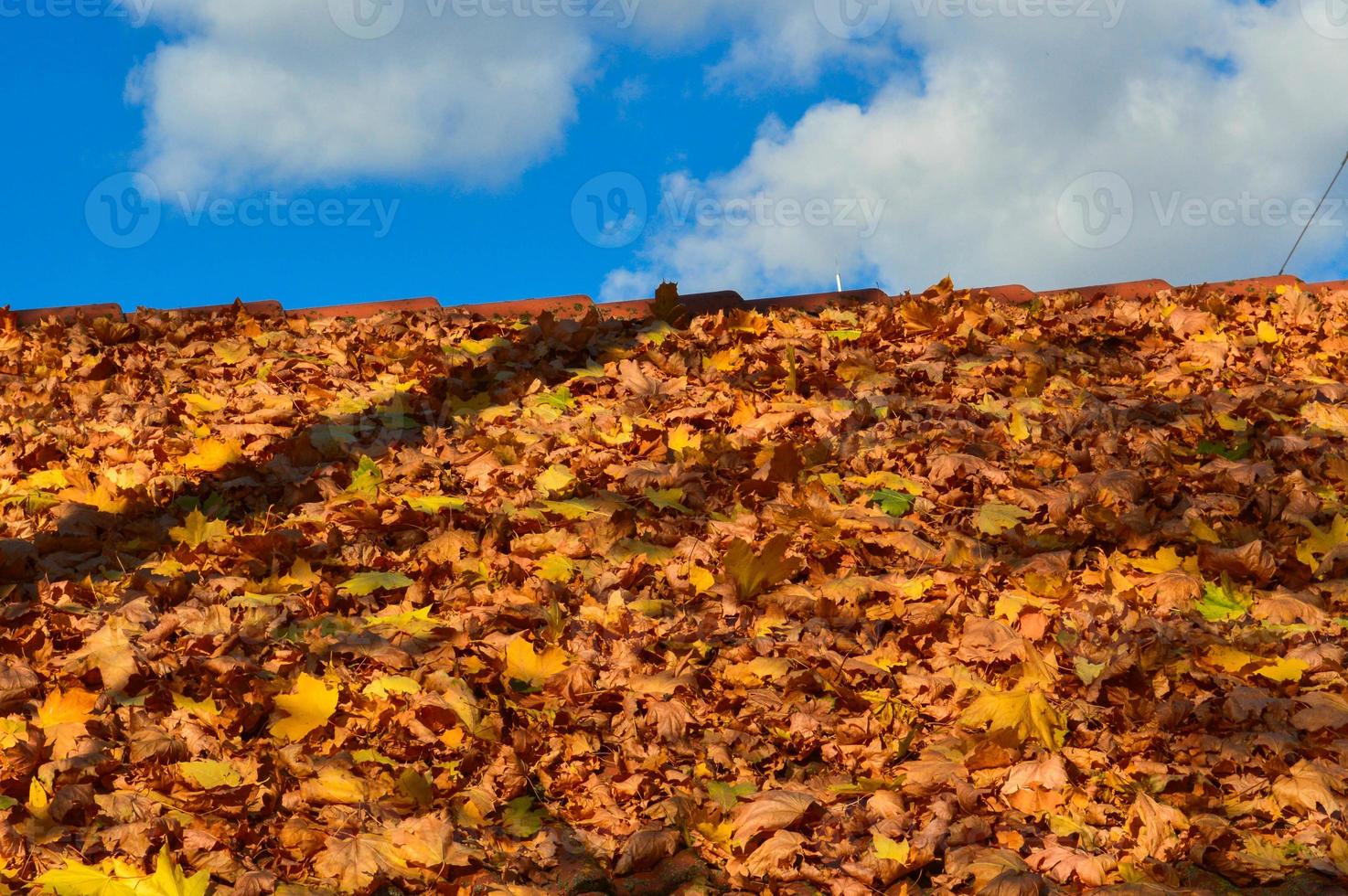 Beautiful sloping sloping tregolnaya roof of the house of red tiles covered with a layer of autumn yellow fallen leaves. The background photo