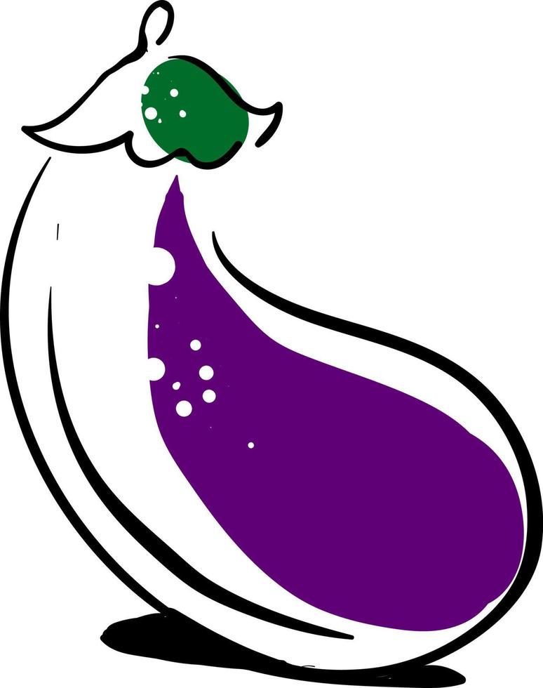 Eggplant drawing, illustration, vector on white background.