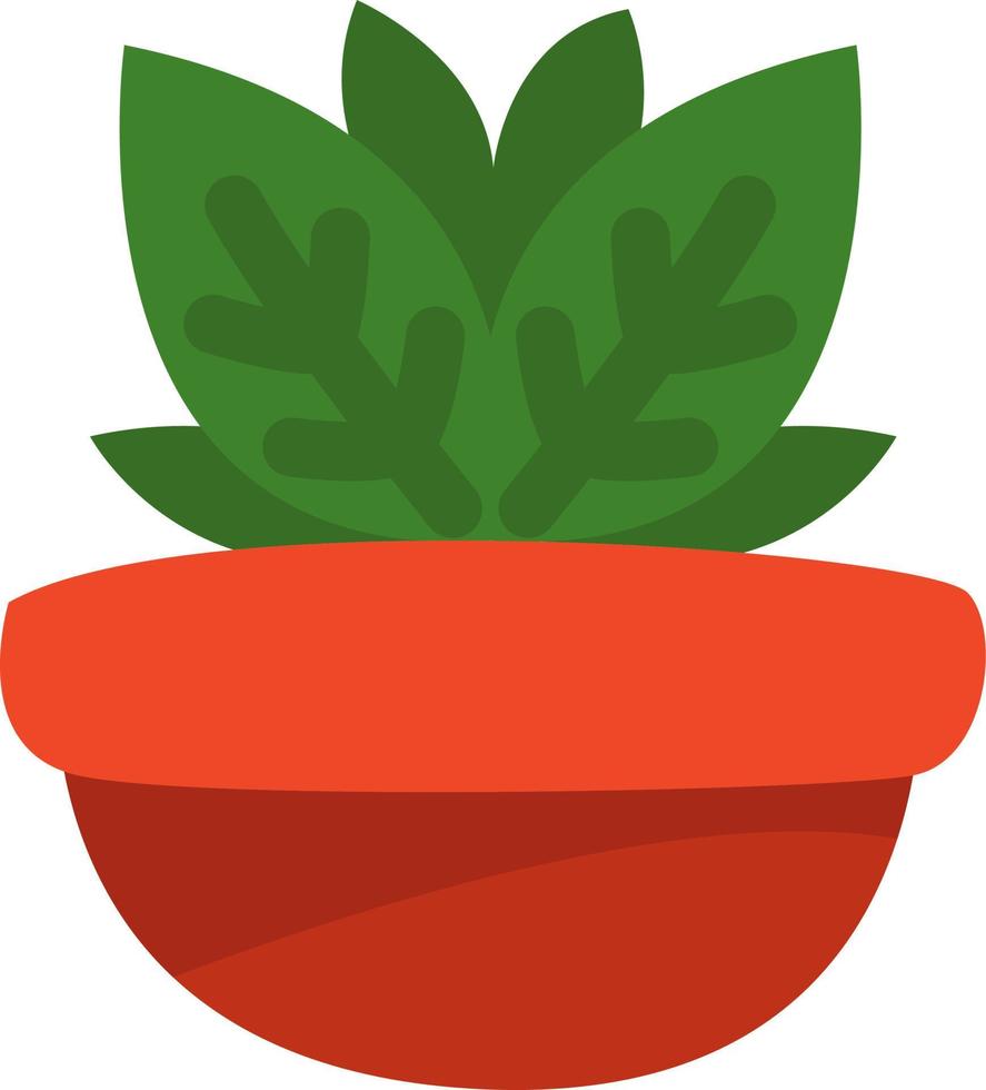 Croton plant in pot, illustration, vector on a white background.