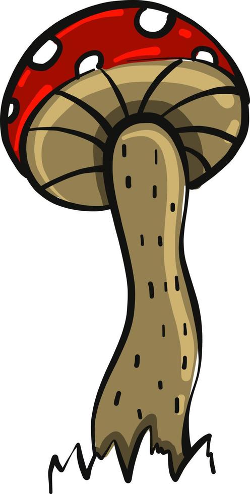 Red mushroom, illustration, vector on white background