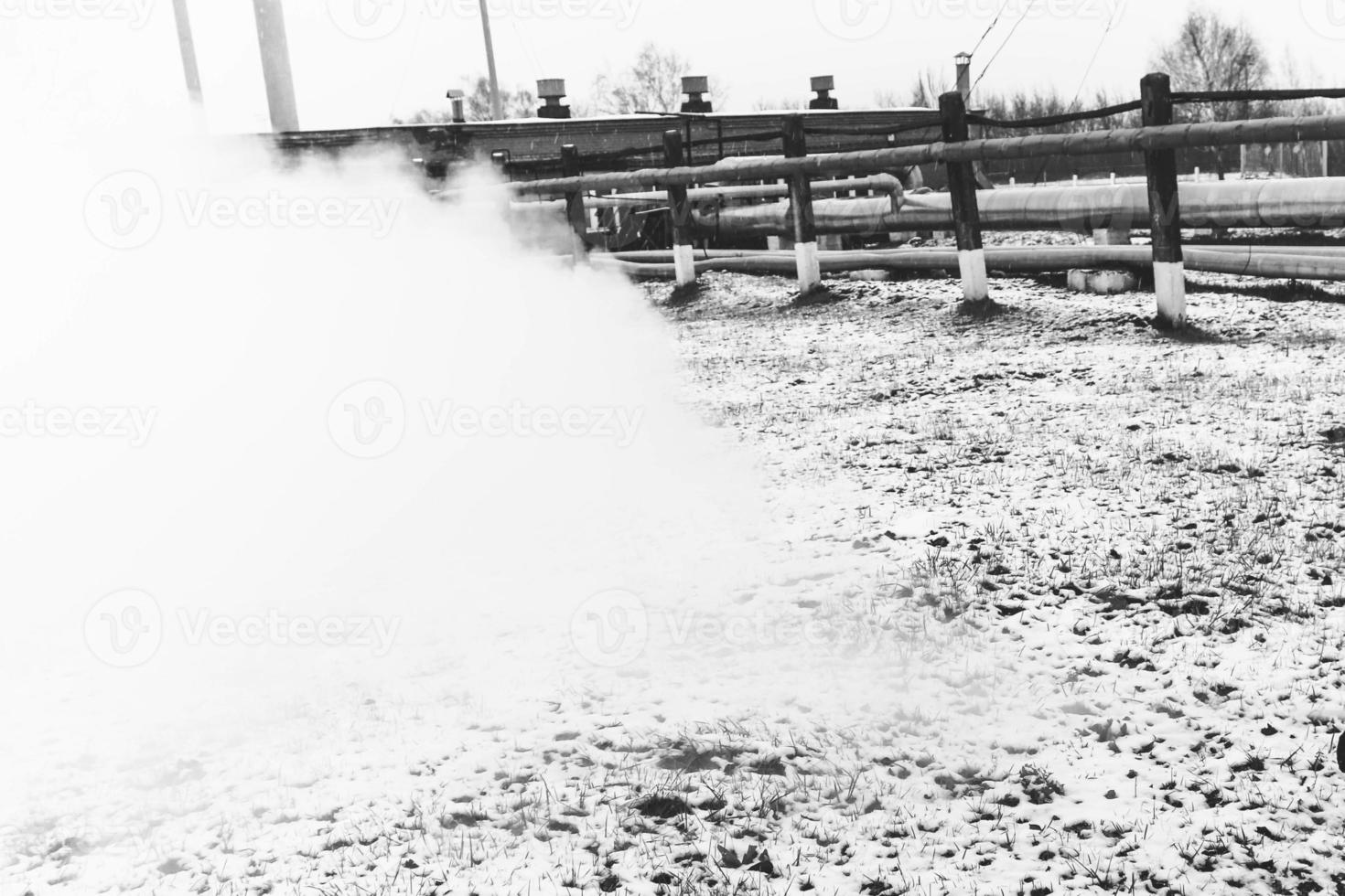 Pipe rack with pipes in superheated high-pressure steam at an oil refinery petrochemical chemical plant photo