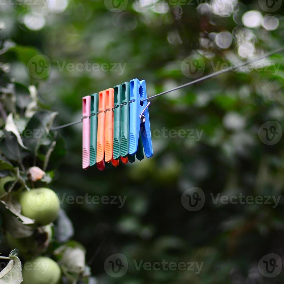 Clothespins on a rope hanging outside house and apple tree photo