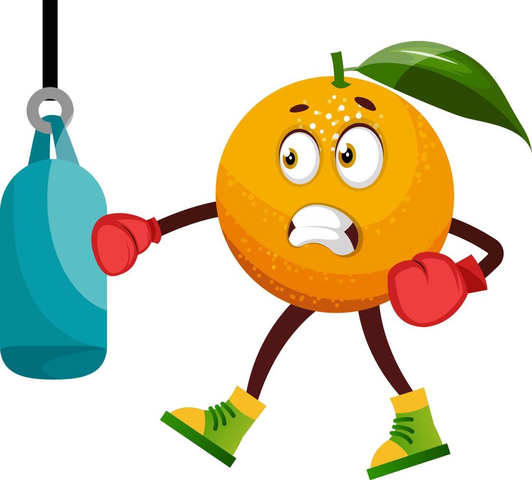 Orange boxing, illustration, vector on white background.