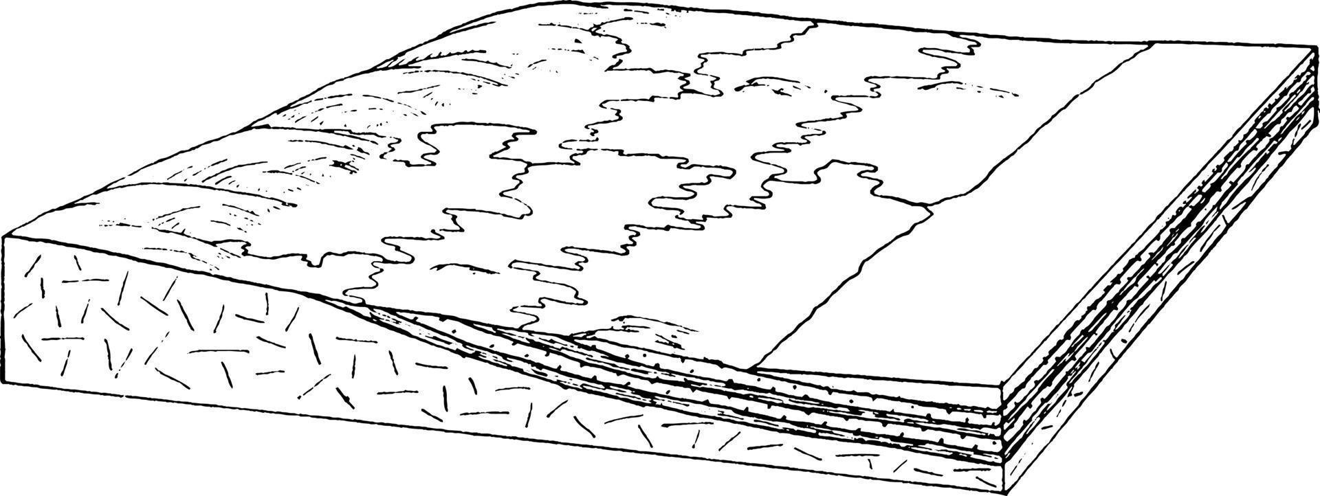 llanura costera después de la penetración, ilustración vintage. 13614096  Vector en Vecteezy