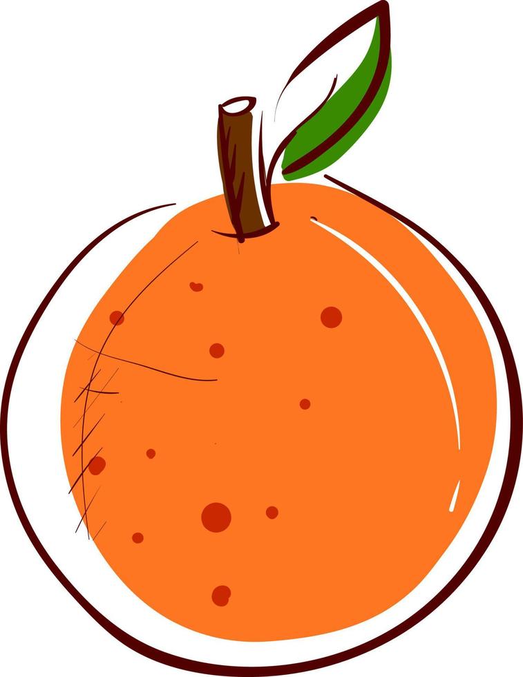 naranja decorativa, ilustración, vector sobre fondo blanco.