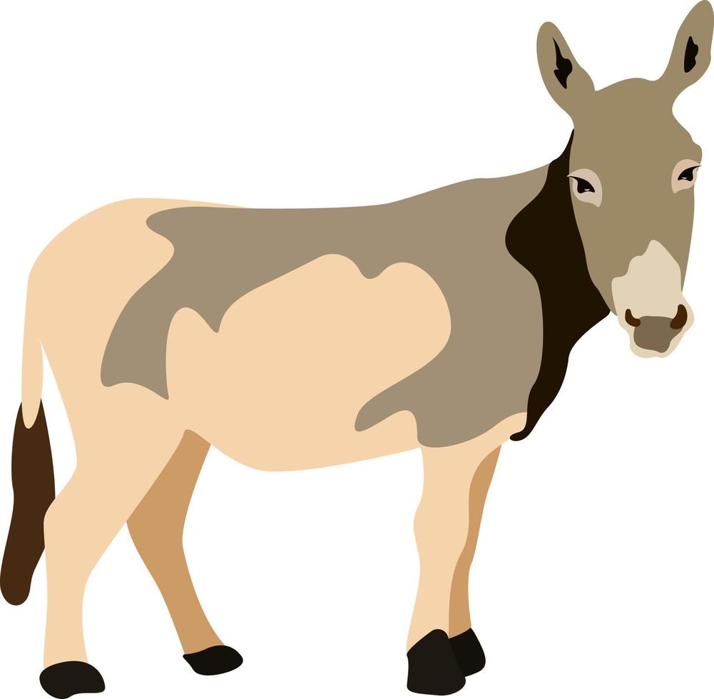Brown donkey, illustration, vector on white background.