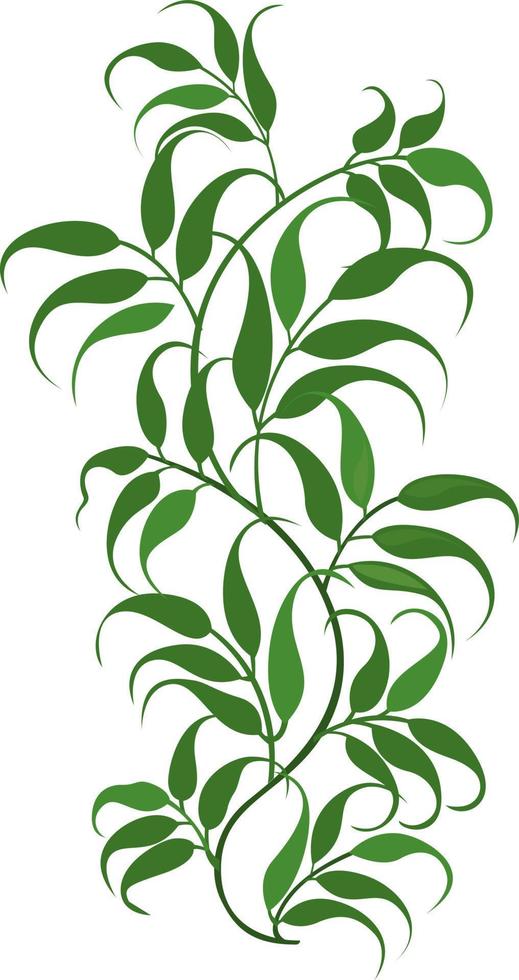 Green leaves, illustration, vector on white background