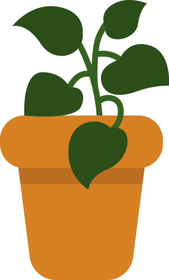 Pothos plant in a pot, icon illustration, vector on white background