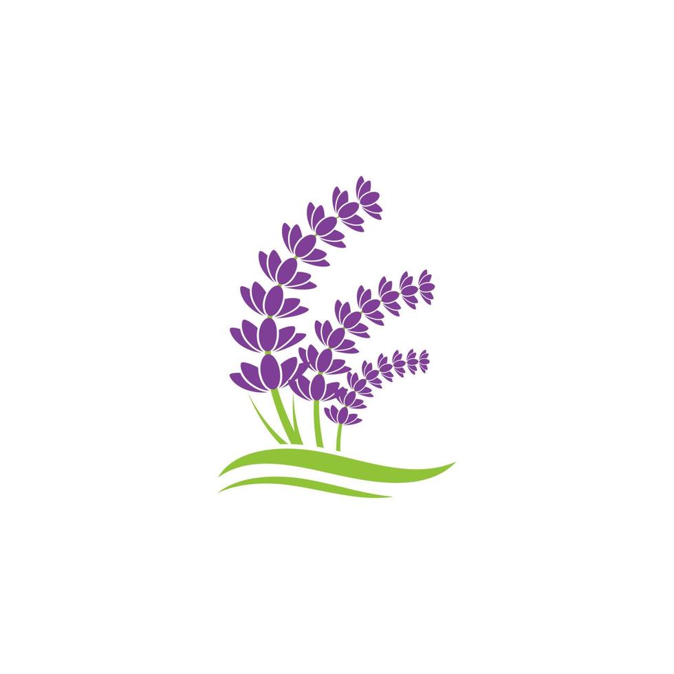 ilustración de icono de vector de flor de lavanda