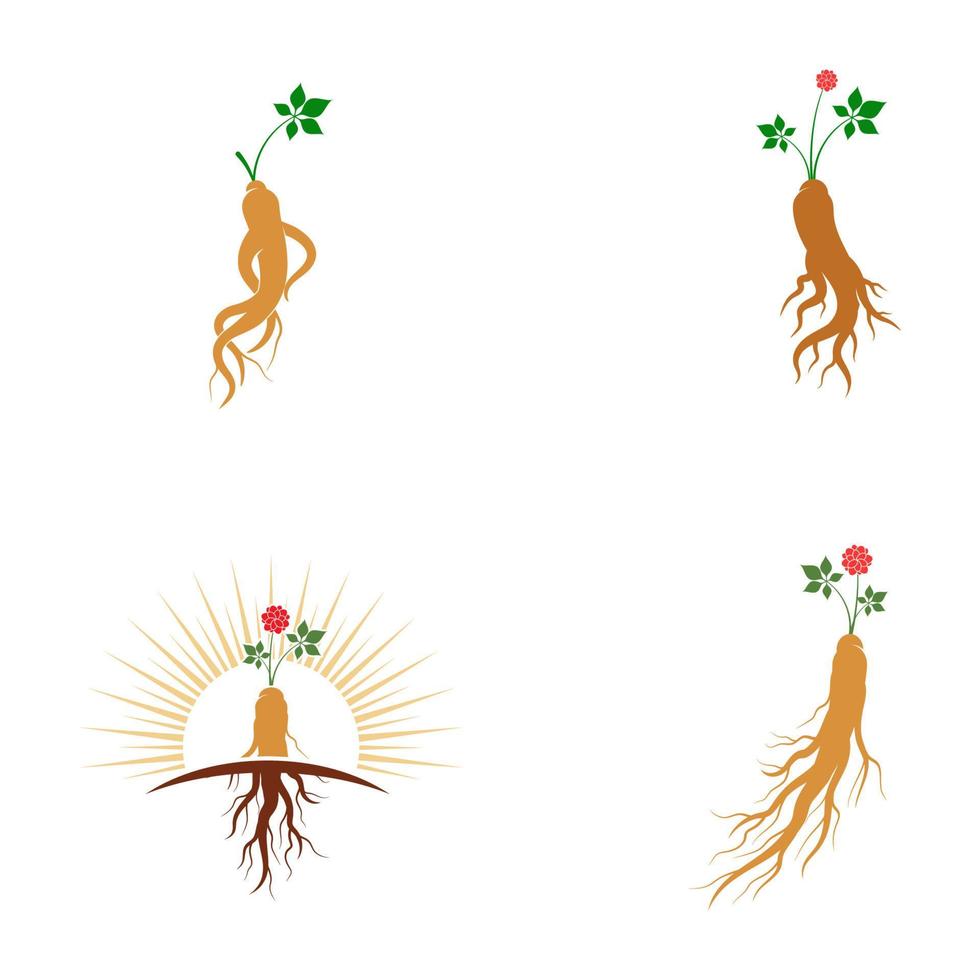 ilustración de icono de vector de ginseng