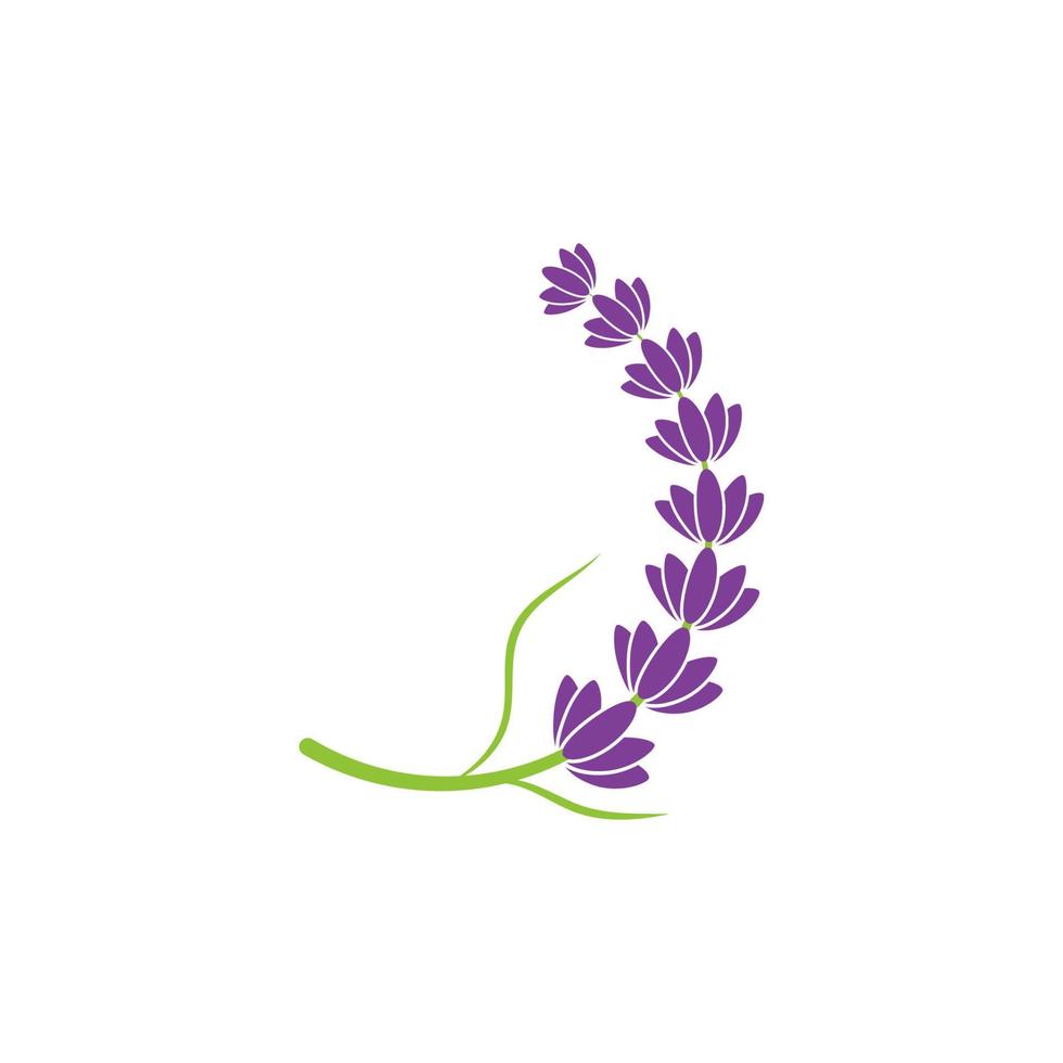 ilustración de icono de vector de flor de lavanda