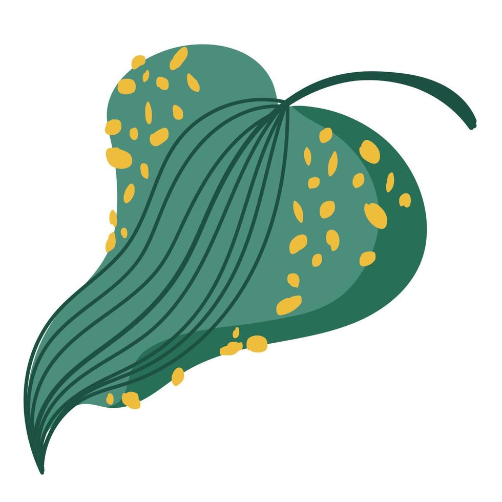 exotic abstract leaf nature foliage decoration icon on white background vector