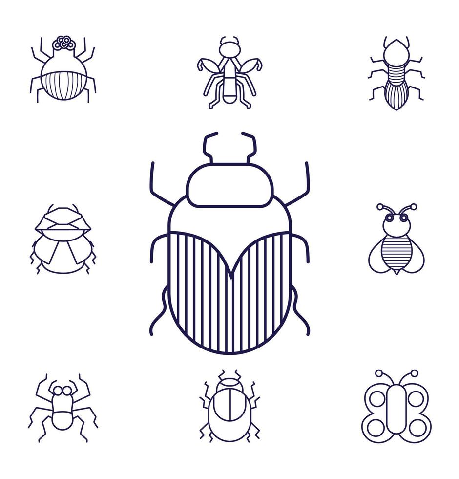 conjunto de iconos lineales de insectos animal alado pequeño vector