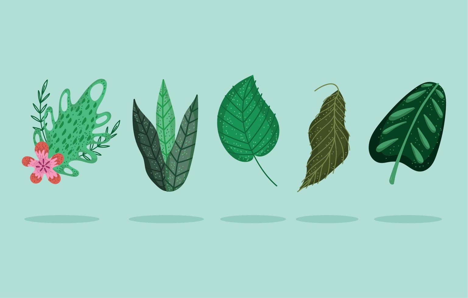 leaves nature foliage flower floral cartoon icons vector