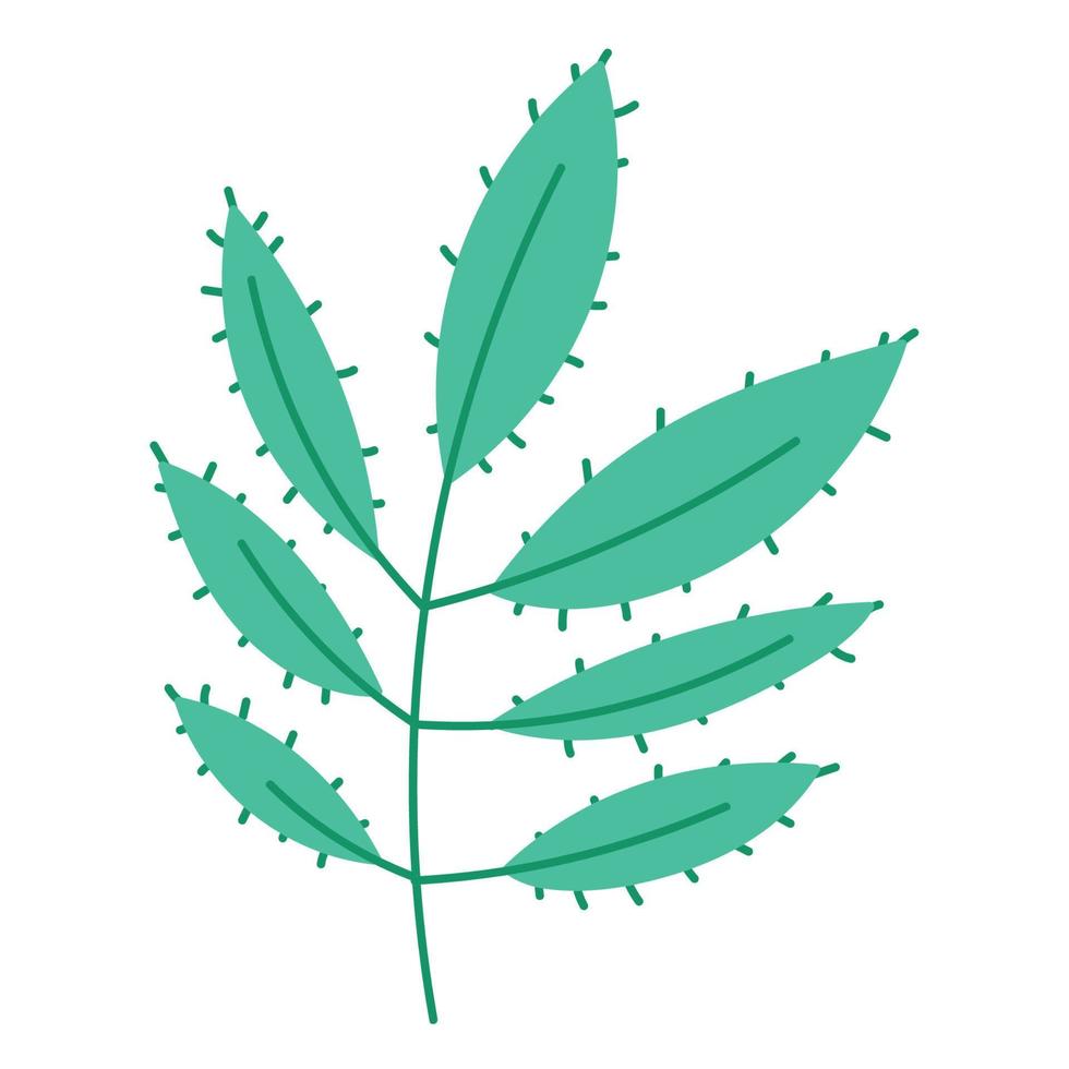 rama naturaleza hojas decoración dibujos animados icono aislado diseño vector