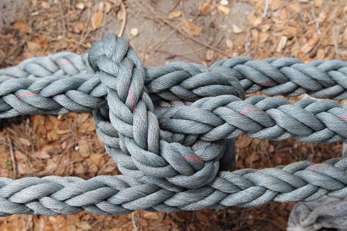 Close up rope bundle Tight fit photo
