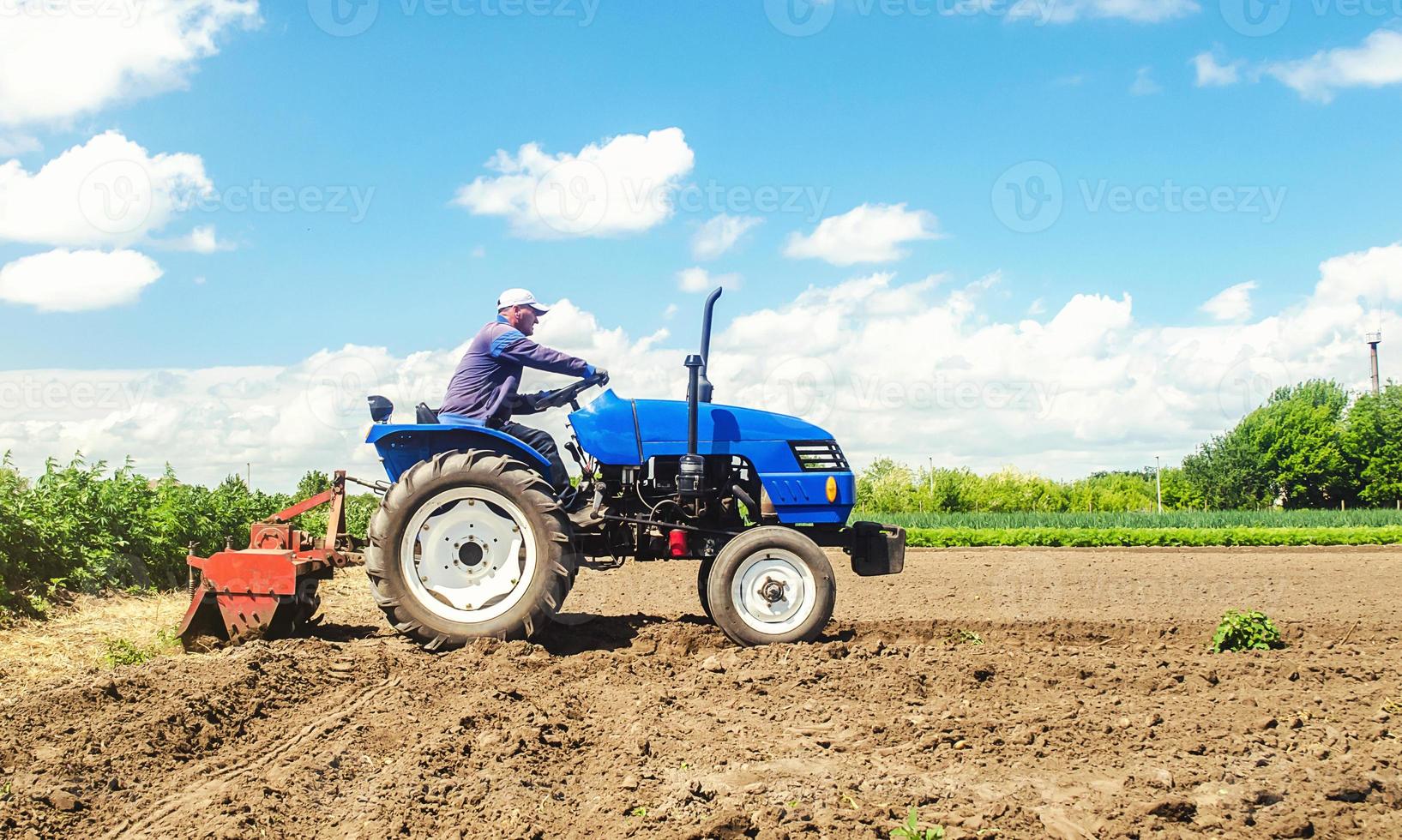 Farmer drives a tractor with a milling machine. Loosens, grind and mix soil on plantation field. Loosening surface, cultivating the land. Farming, agriculture. Field preparation for new crop planting. photo